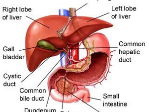 Vì sao người Việt hay bị ung thư?