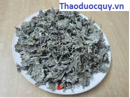 Thảo dược trị viêm loét dạ dày tá tràng