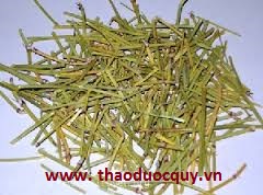 Chữa hen theo nguyên lý tận gốc của Đông y