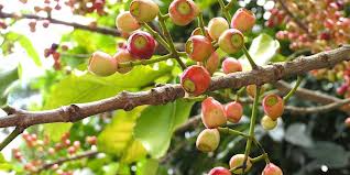 Bài 3 Kiểm soát bênh tiểu đường