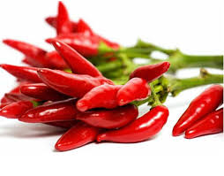 Bài thuốc từ ớt
