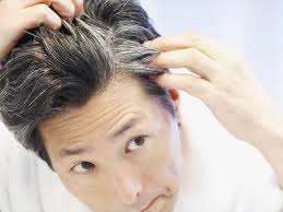 Những bài thuốc trị TÓC BẠC SỚM