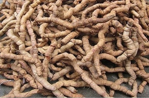 Sự thật về công dụng "kích thích" của củ Ba kích