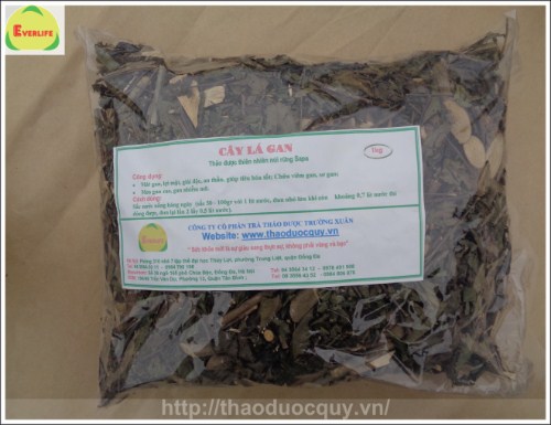 Thảo dược giá tốt cho người viêm gan