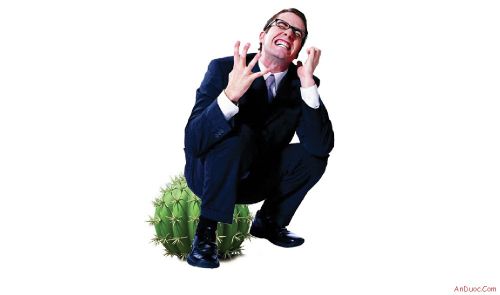 Điều trị bệnh trĩ bằng thảo dược