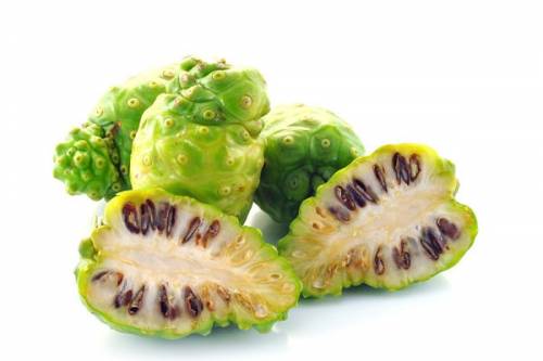 tác dụng trái nhàu