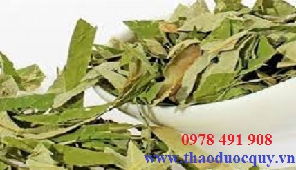 Món ăn, nước uống phòng trị cảm nắng