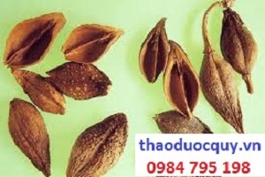 Liên kiều thanh nhiệt giải độc, tán kết