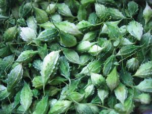 Bài 4 tìm hiểu về căn bệnh tiểu đường