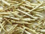 Bài thuốc nam trị hen phế quản