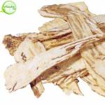 Cách dùng đương quy bổ máu trị thiếu máu