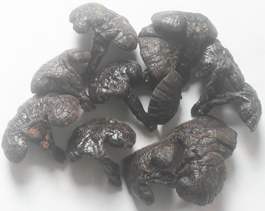 nấm-linh-chi-rừng-thượng-hạng