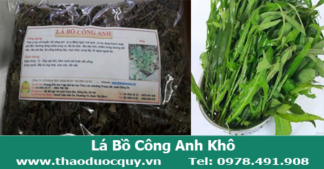 l&aacute; bồ c&ocirc;ng anh kh&ocirc;