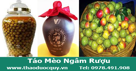 t&aacute;o m&egrave;o ng&acirc;m rượu