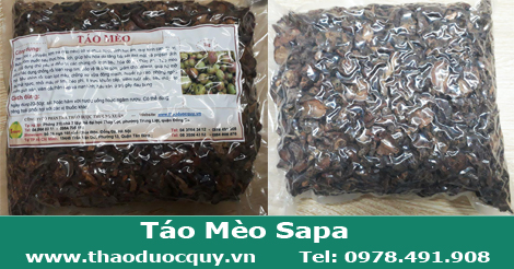 tao_meo_sapa