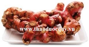 Củ riềng làm thuốc